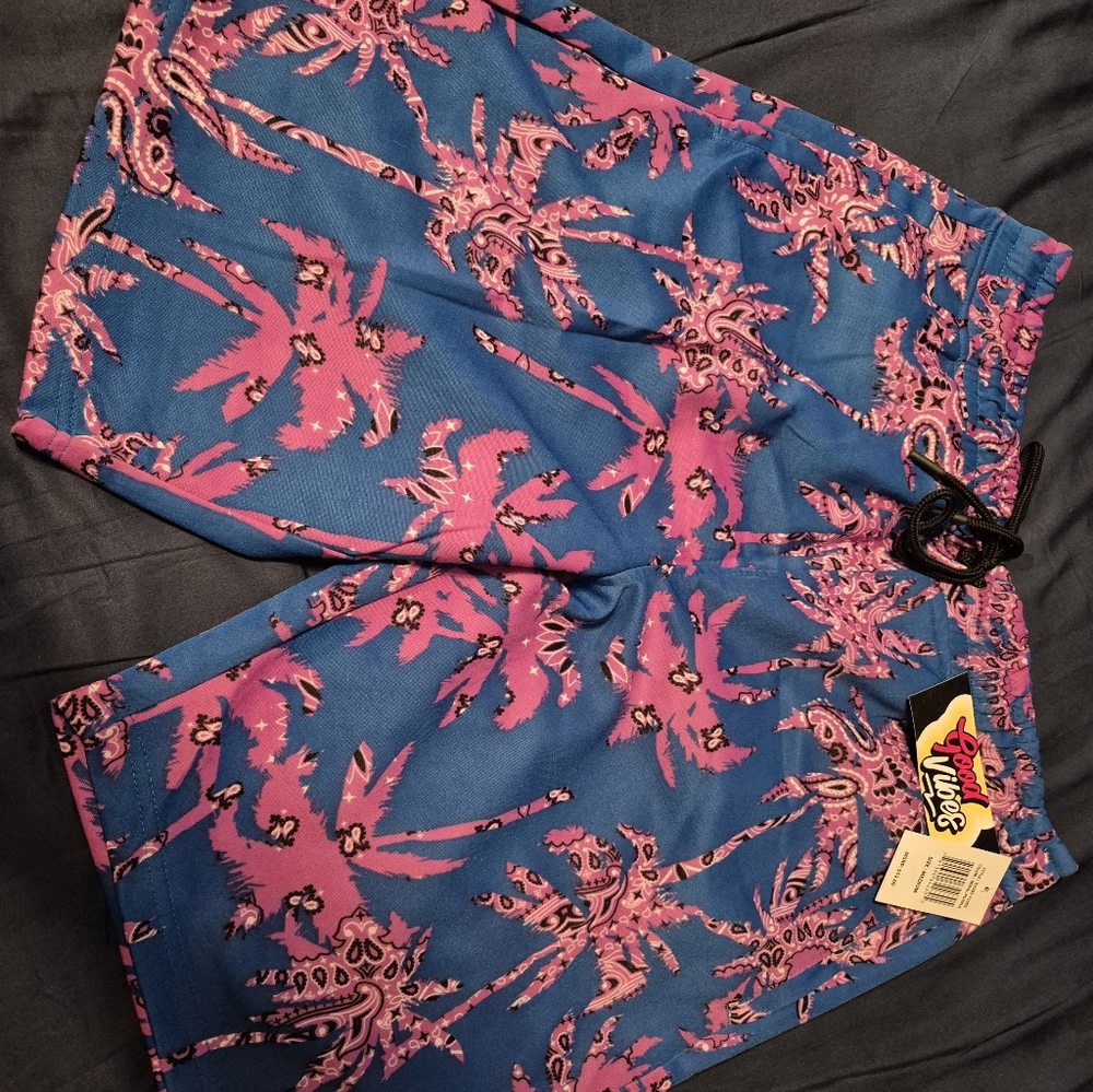 Chubbies Blue and Purple Good Vibes Shorts - Picture 5 of 5